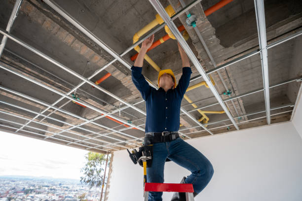 Best Plumbing Repair Near Me  in East Prairie, MO