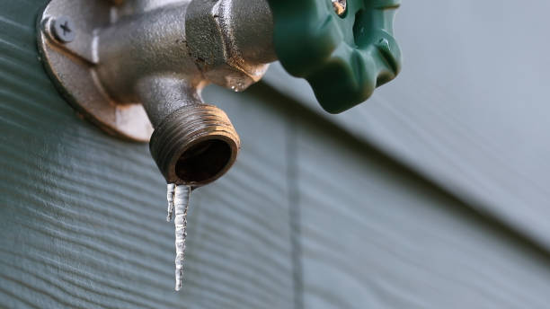 Best Same-Day Plumbing Service  in East Prairie, MO